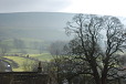 Pendle Hill and trees