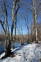 Sudbury River, Great Meadows National Wildlife Refuge