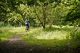 Cyclist, Priory Wood