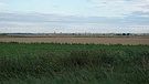 View to Ely