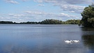 Cambridgeshire - Fen Drayton Lakes